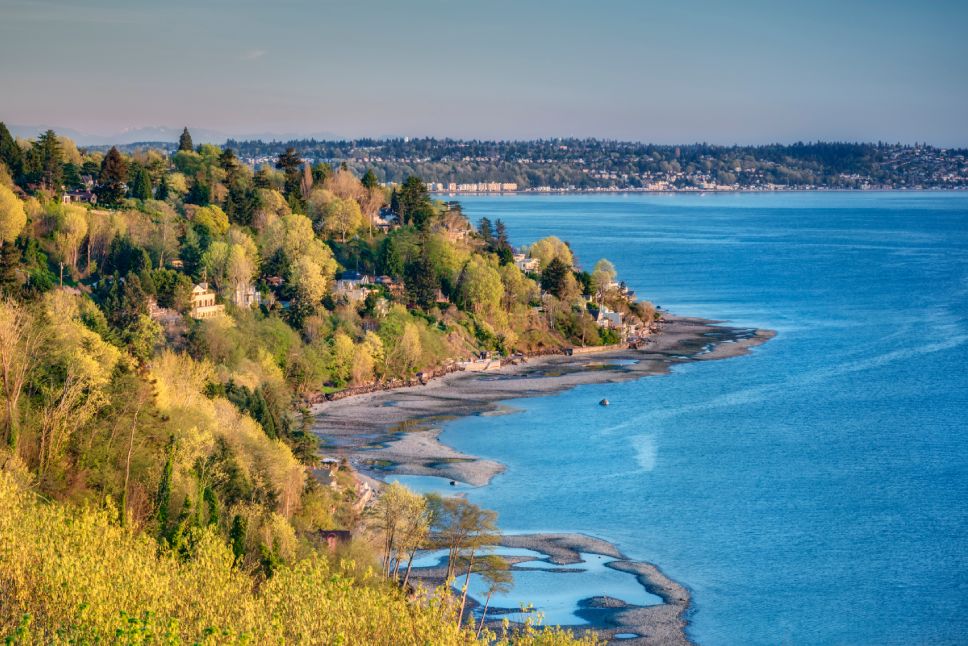 A Seattle Sunset Illuminates Spring Foliage and the Puget Sound in Discovery Park