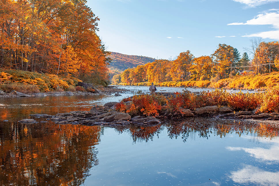 lake view in the nature