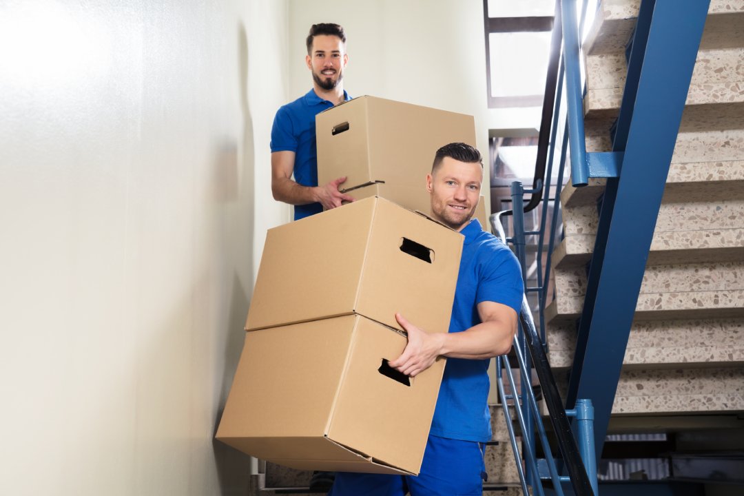 Two Young Male Movers In Blue Uniform Carrying Cardboard Boxes On Staircase