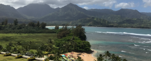 Hawaii landscape moving