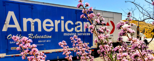 Local moving relocation Oakley services