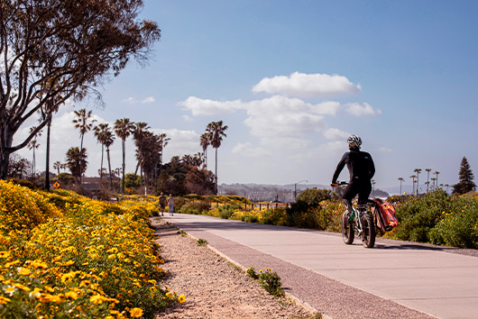 Person riding bike in Palm Springs